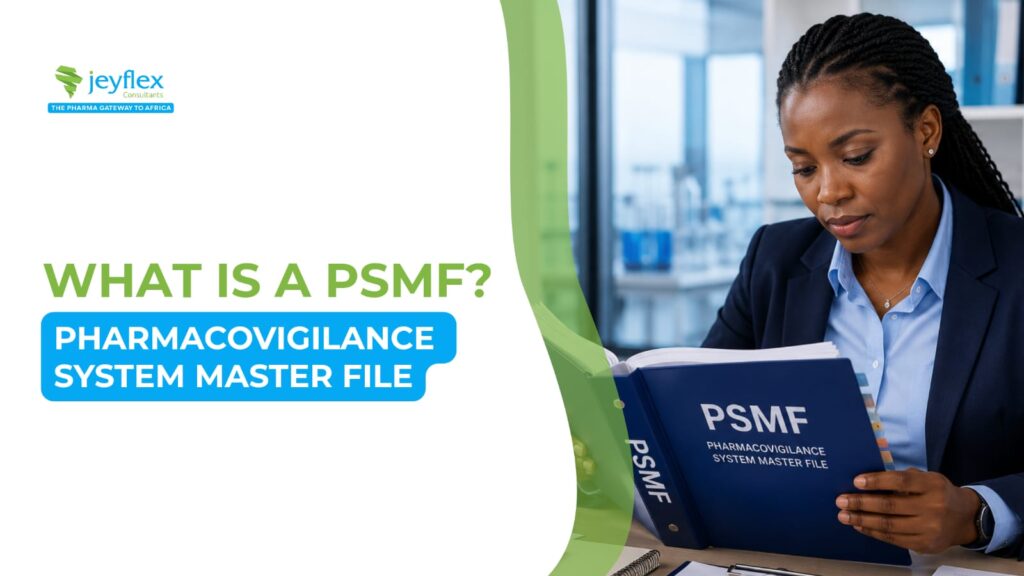 What is a Pharmacovigilance System Master File (PSMF)?
